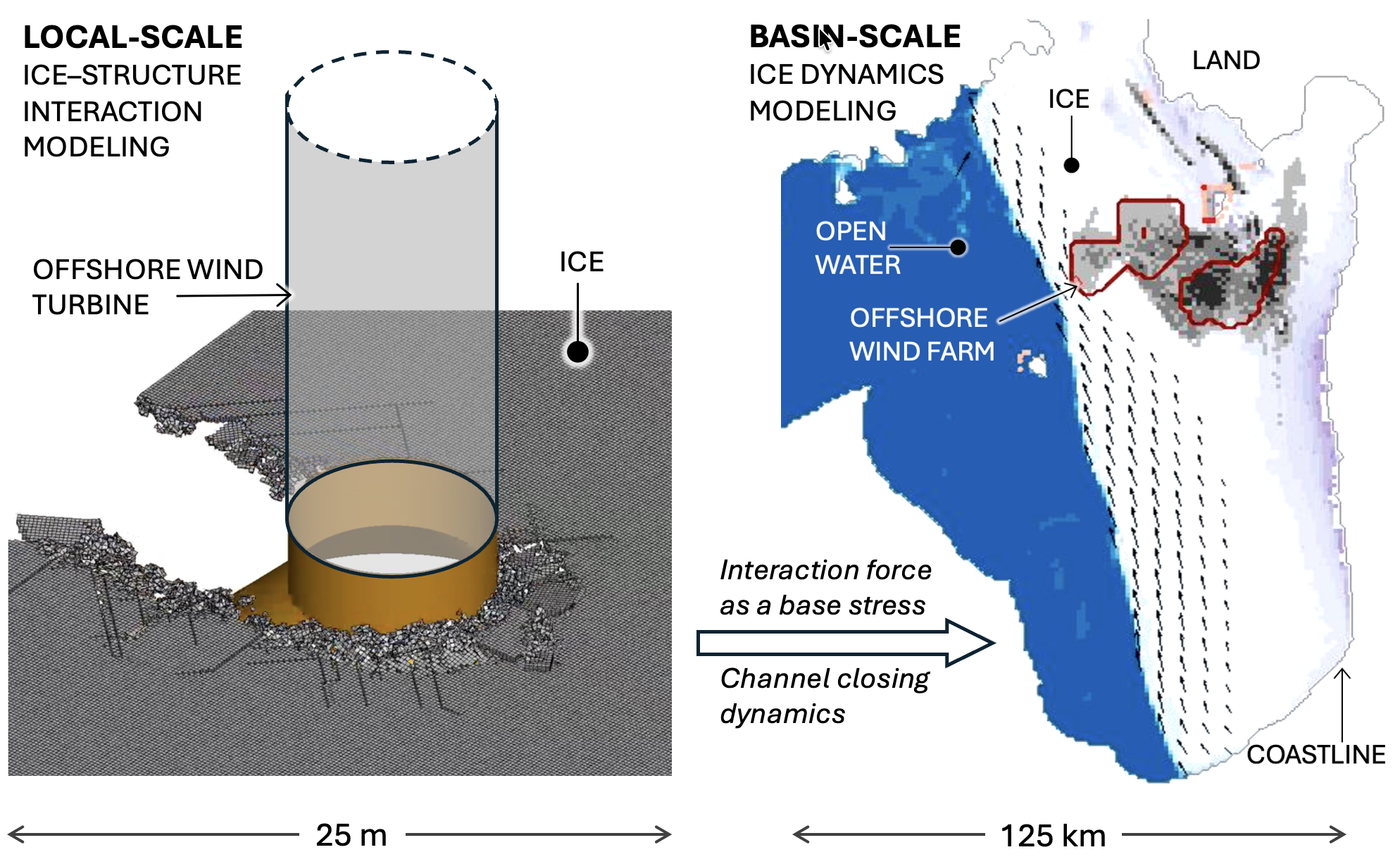Multi-scale modelling framework connecting local ice-structure interaction around an offshore wind turbine with basin-scale ice dynamics in the Gulf of Riga