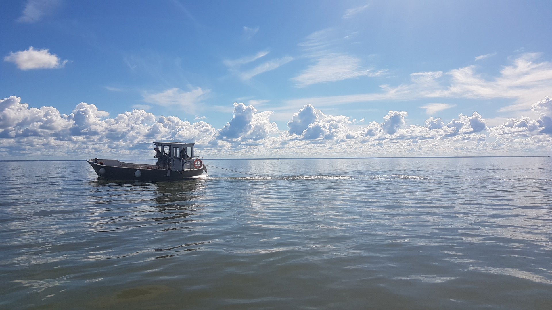 sea background for policy reccomendations