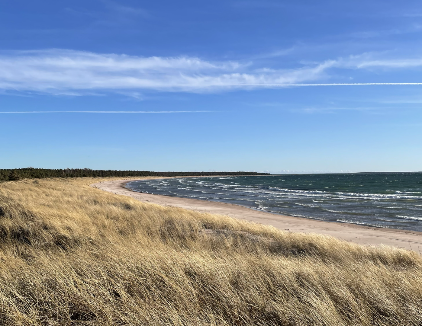 baltic sea.png